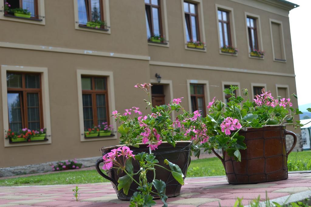 Pension Stara Skola Vysoke Zibridovice Exterior photo